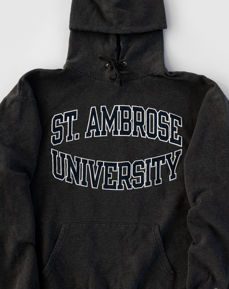 Champion St. Ambrose University Hoodie